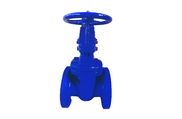 OS&Y Cast Iron Gate Valve, 150LB